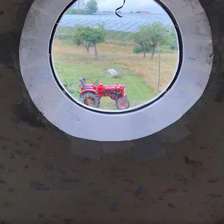 Près De La Flèche - Animaux Admis - Petit-déjeuner Inclus - Fr-1-410-477 Bed and breakfast *