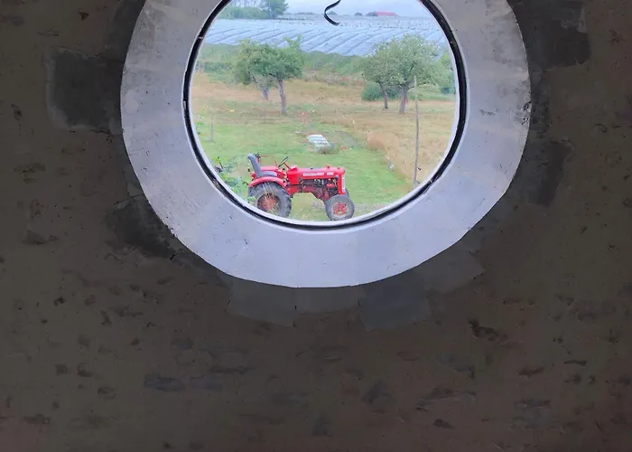 Pres De La Fleche - Animaux Admis - Petit-dejeuner Inclus - Fr-1-410-477 Bed & Breakfast *